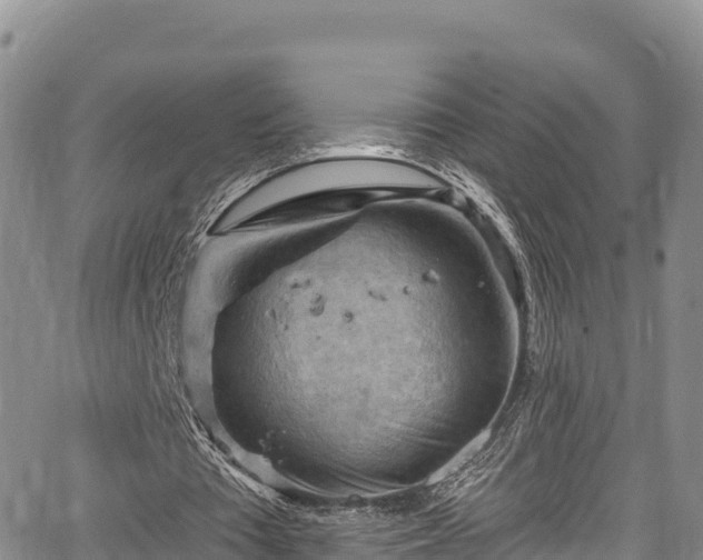 X0000067510385200604101301