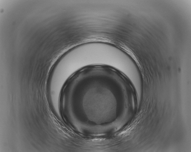 X0000067510387200604101301