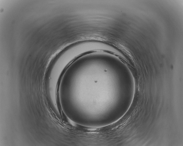 X0000067510388200604101301