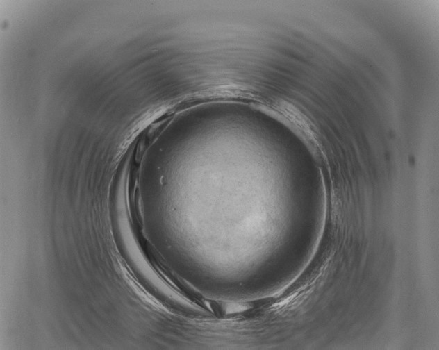 X0000067510389200604101301