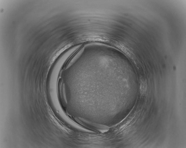 X0000067510390200604101301