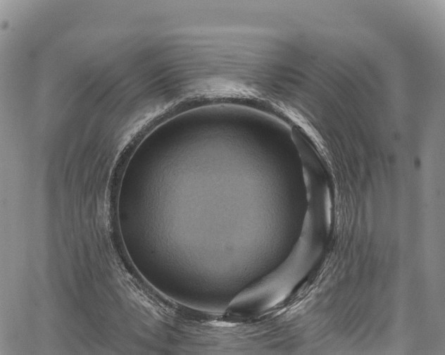 X0000067510391200604101301