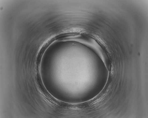 X0000067510392200604101301