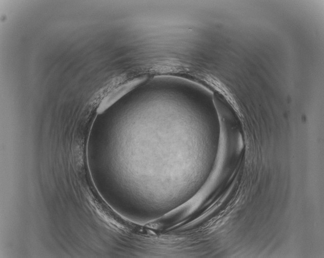 X0000067510393200604101301