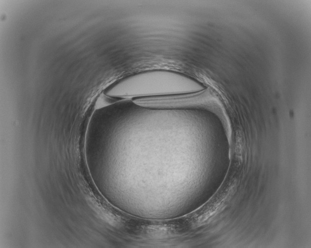 X0000067510394200604101301