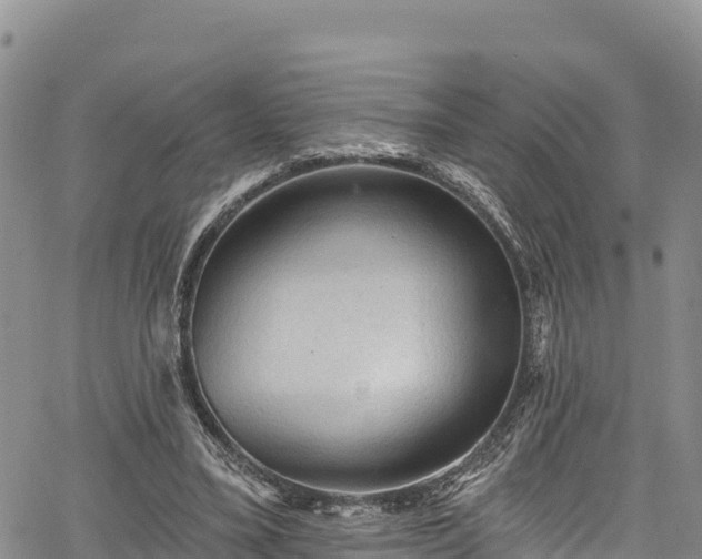 X0000067510395200604101301