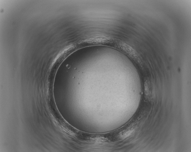 X0000067510396200604101301