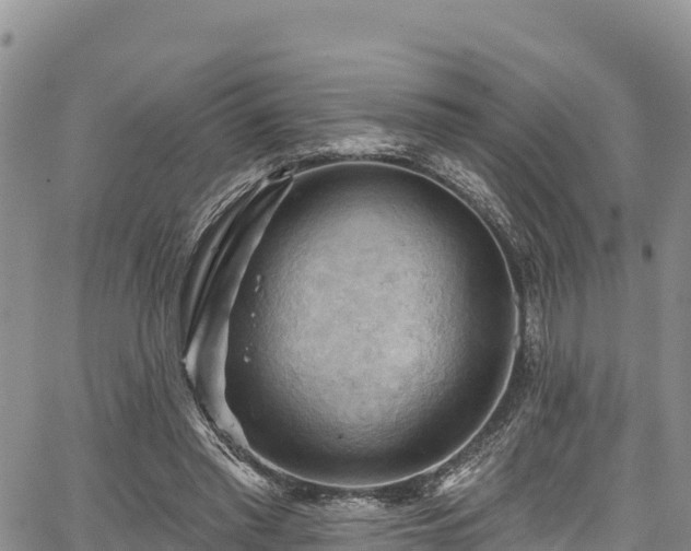 X0000067510397200604101301