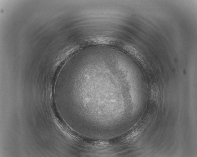 X0000067510398200604101301