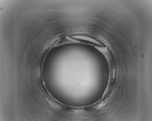 X0000067510401200604101301