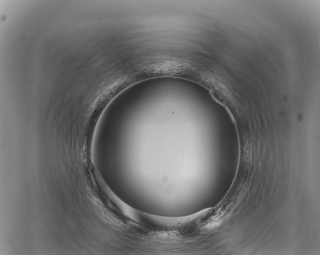 X0000067510403200604101301