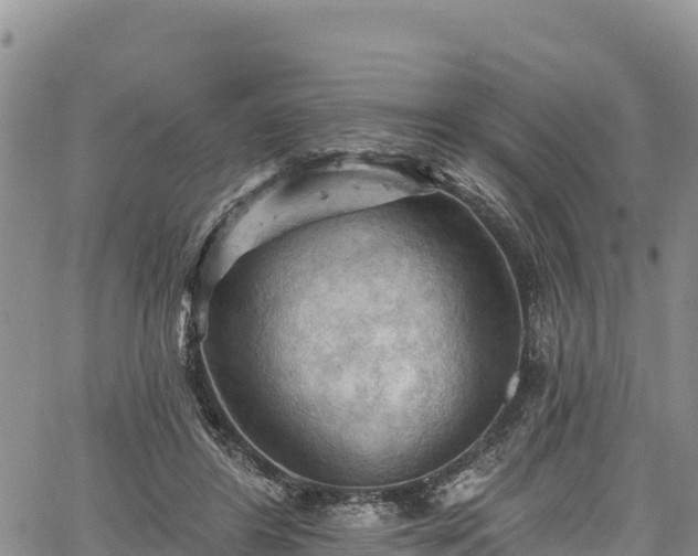 X0000067510404200604101301