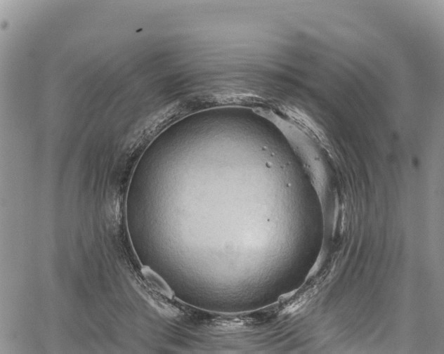 X0000067510405200604101301