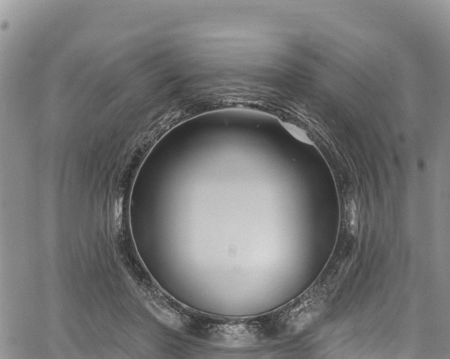 X0000067510406200604101301