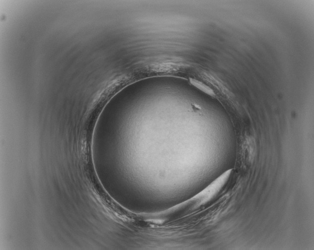 X0000067510407200604101301