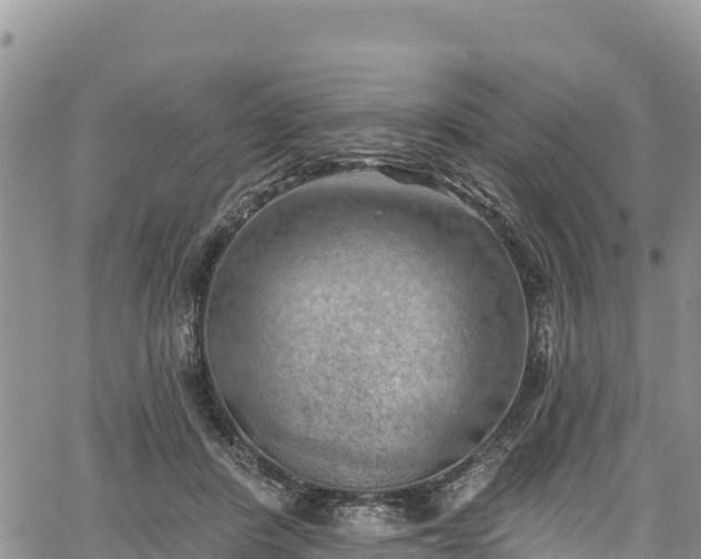 X0000067510408200604101301