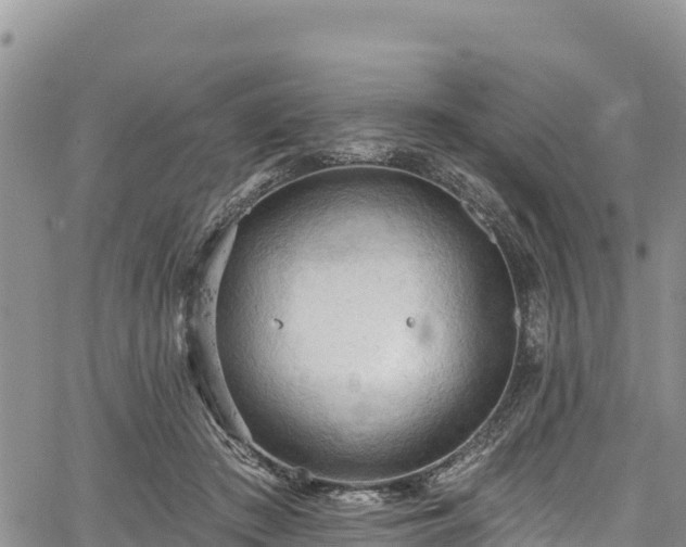 X0000067510409200604101300