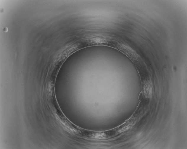 X0000067510410200604101300