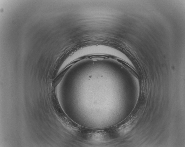 X0000067510412200604101300