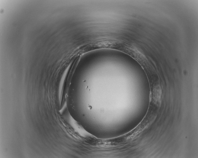 X0000067510413200604101300