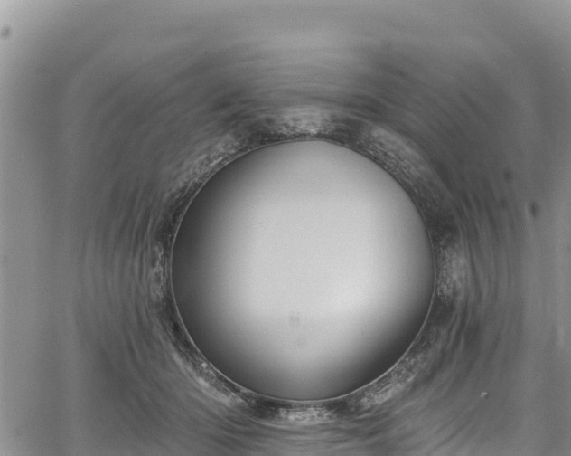 X0000067510414200604101300