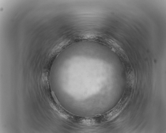 X0000067510415200604101300