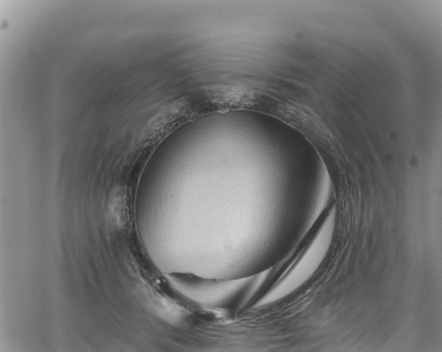 X0000067510416200604101300