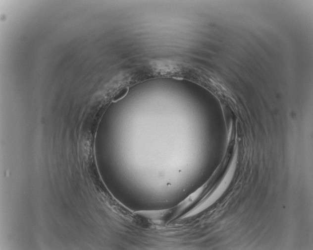 X0000067510417200604101300