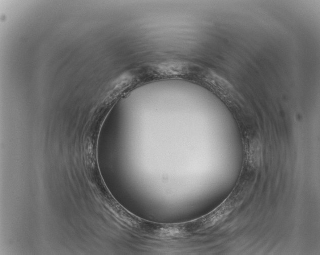 X0000067510418200604101300