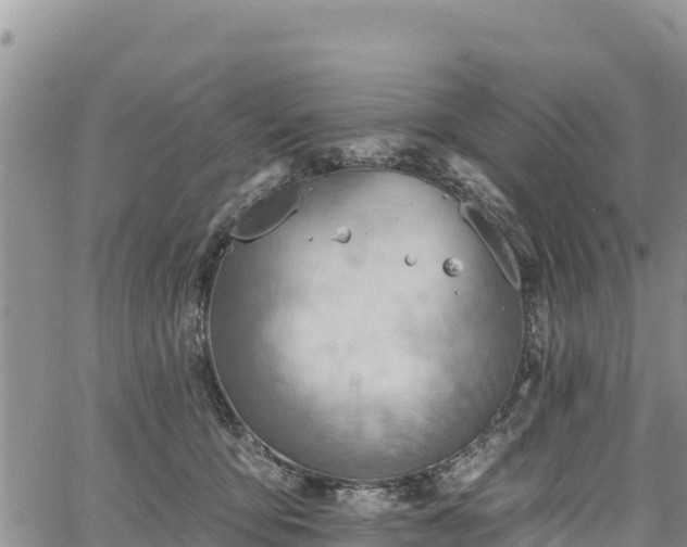 X0000067510419200604101300