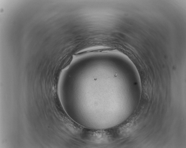 X0000067510420200604101300