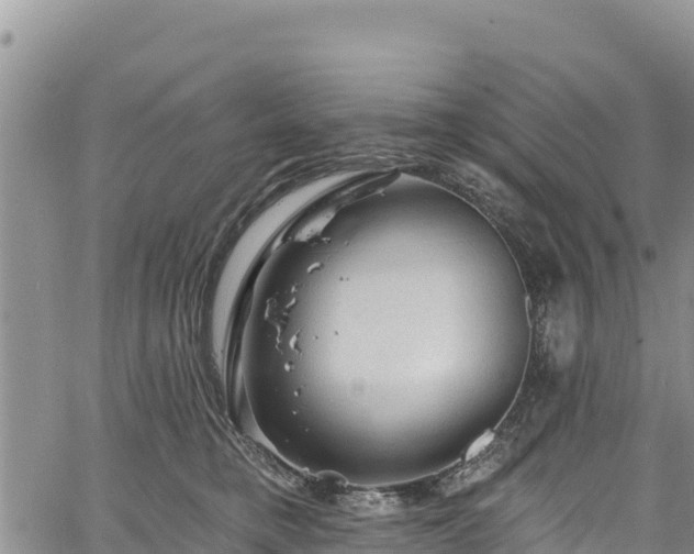 X0000067510421200604101300