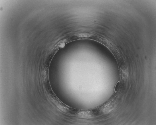 X0000067510422200604101300