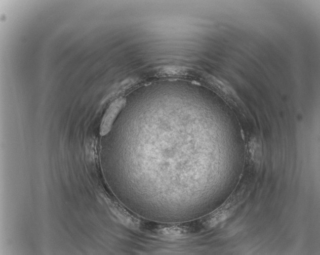 X0000067510423200604101300