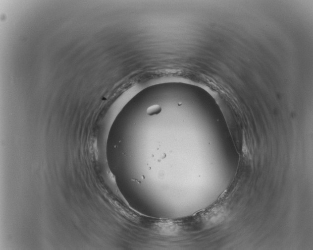 X0000067510425200604101300