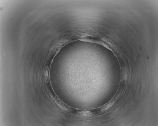 X0000067510427200604101300