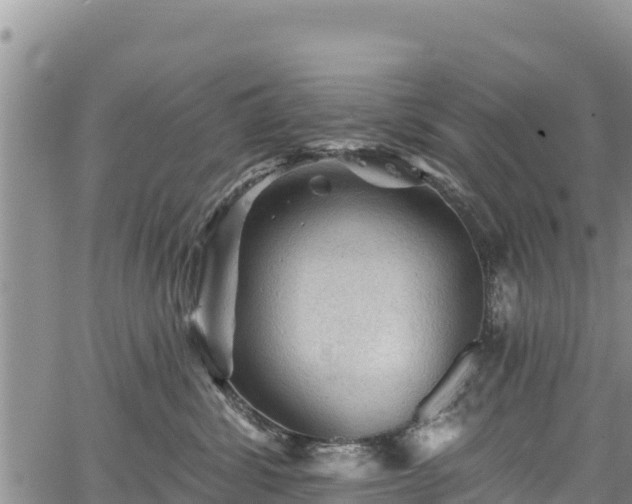 X0000067510428200604101300