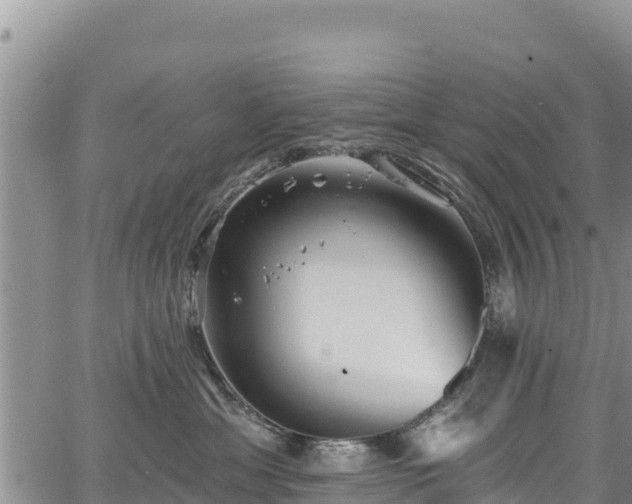 X0000067510429200604101300