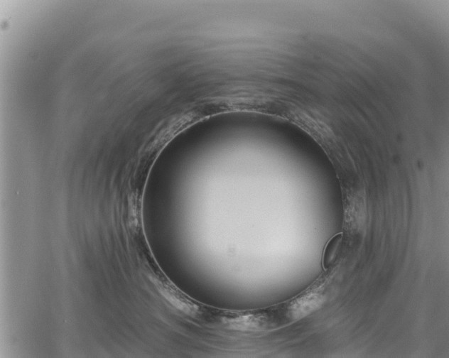 X0000067510430200604101300