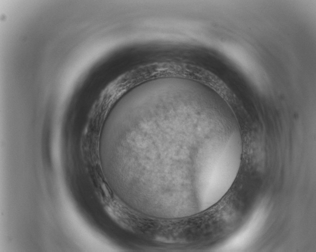 X0000067510431200604101300