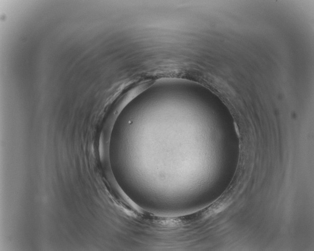 X0000067510432200604101300