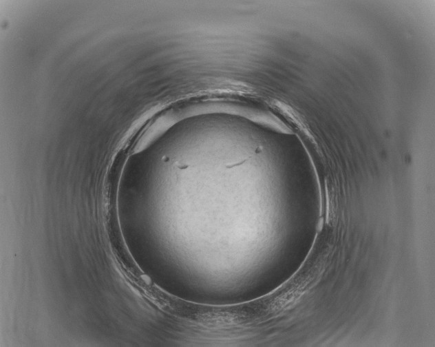 X0000067510435200604101259