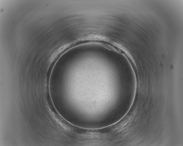 X0000067510437200604101259