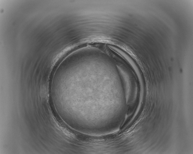 X0000067510438200604101259