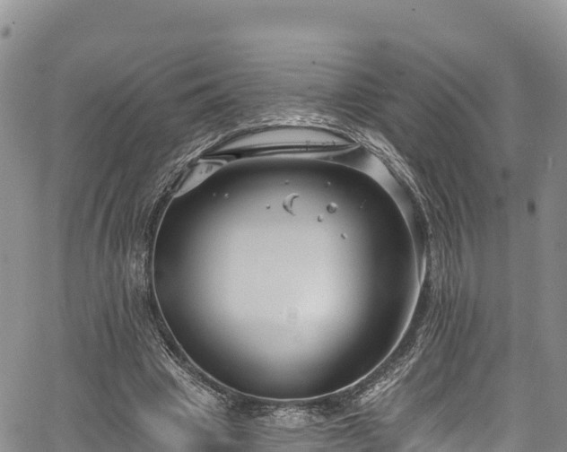 X0000067510441200604101259