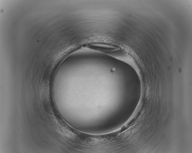 X0000067510442200604101259