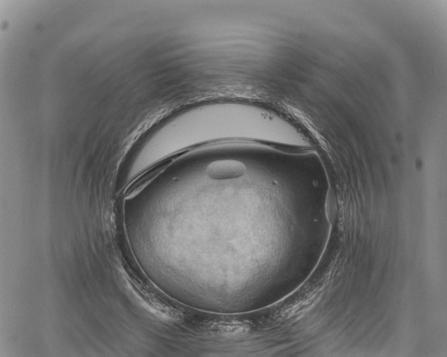 X0000067510443200604101259