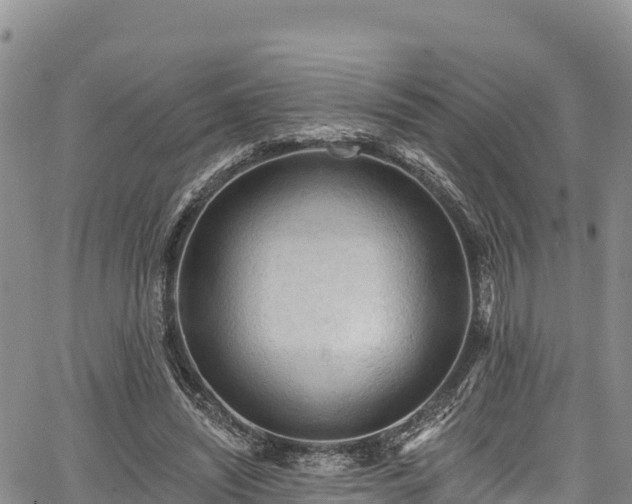 X0000067510444200604101300