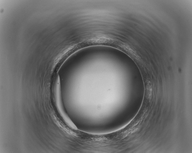 X0000067510446200604101300