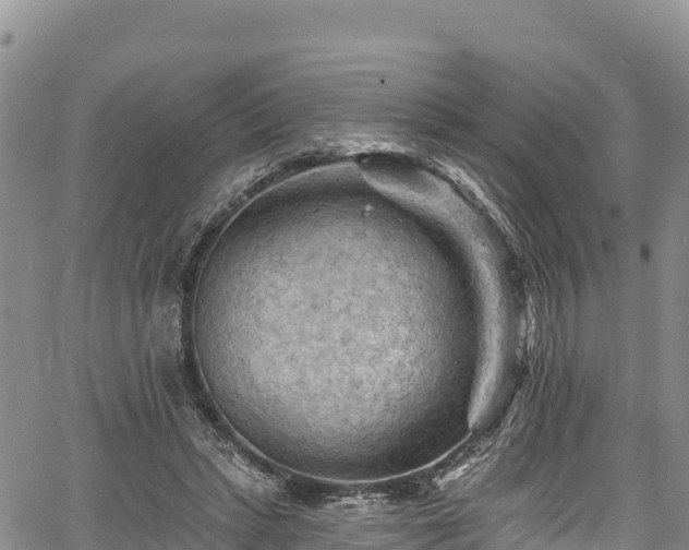 X0000067510447200604101300